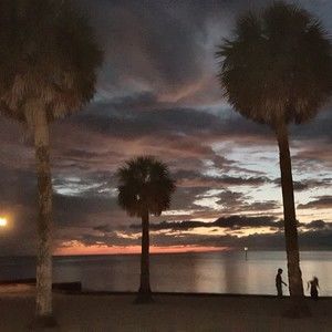 Meet your Posher, Gregory